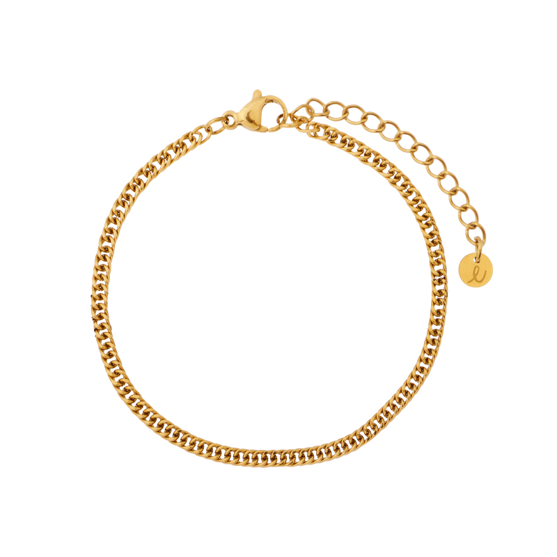 Armband basic fijne schakel goud